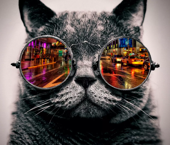 programming illustration